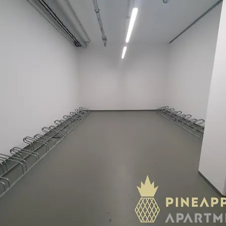 Pineapple - Altstadt I - 117qm - 1x Free Parking Apartamento *
